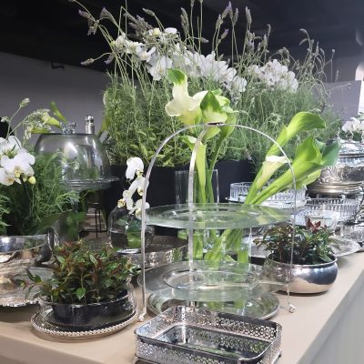 17f119d5-fc76-4222-bd9b-f011824f89b8